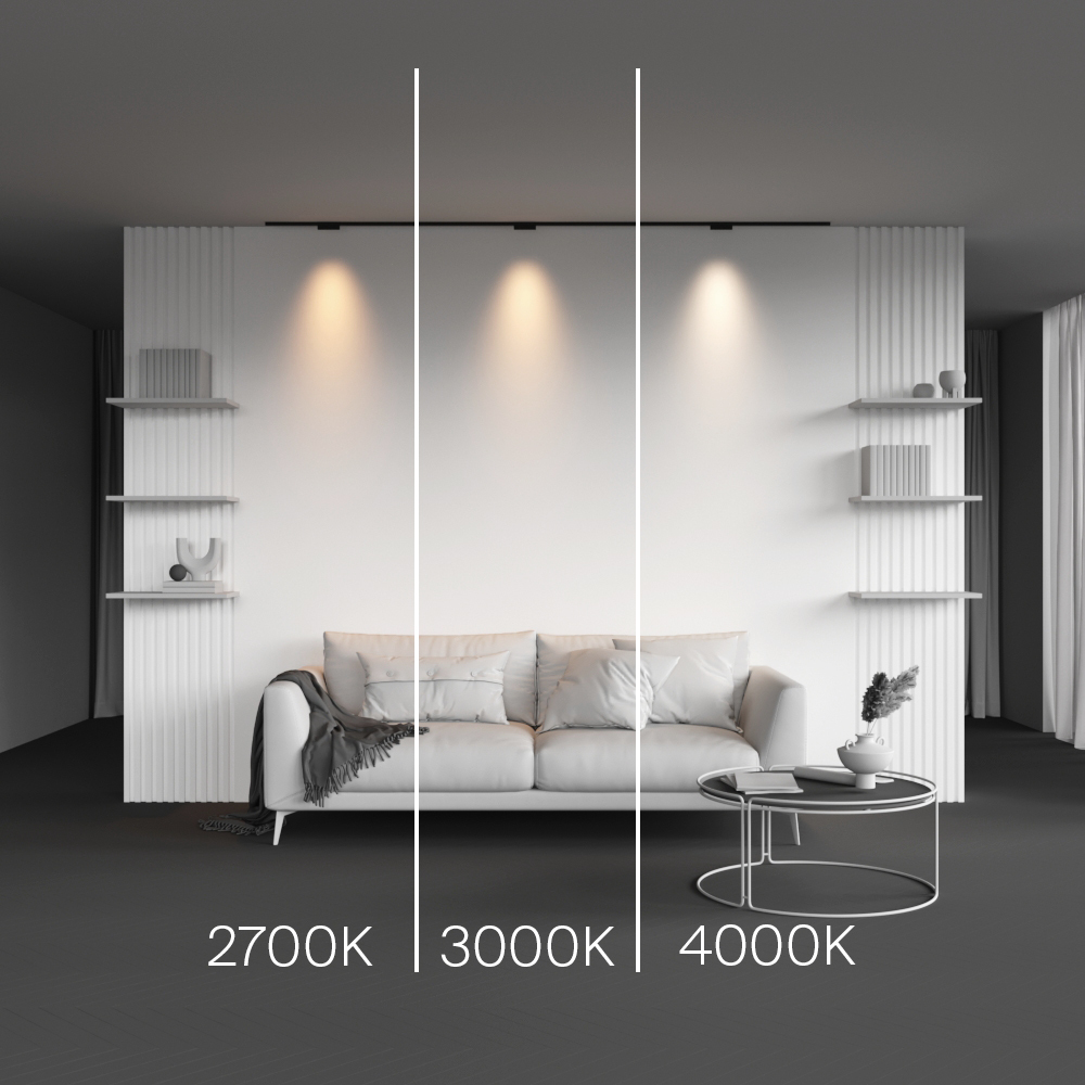 Трековый магнитный светильник Maytoni Points TR193-1-5W4K-M-B в Санкт-Петербурге