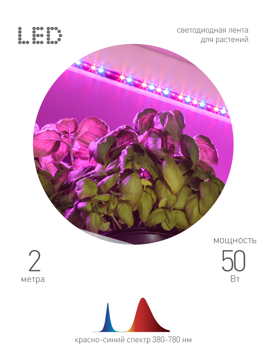 Светодиодная лента для растений Эра 18Вт 1400K 2м IP65 FITO-Strip Light-RB-2m красно-синего спектра Б0057282 в Санкт-Петербурге
