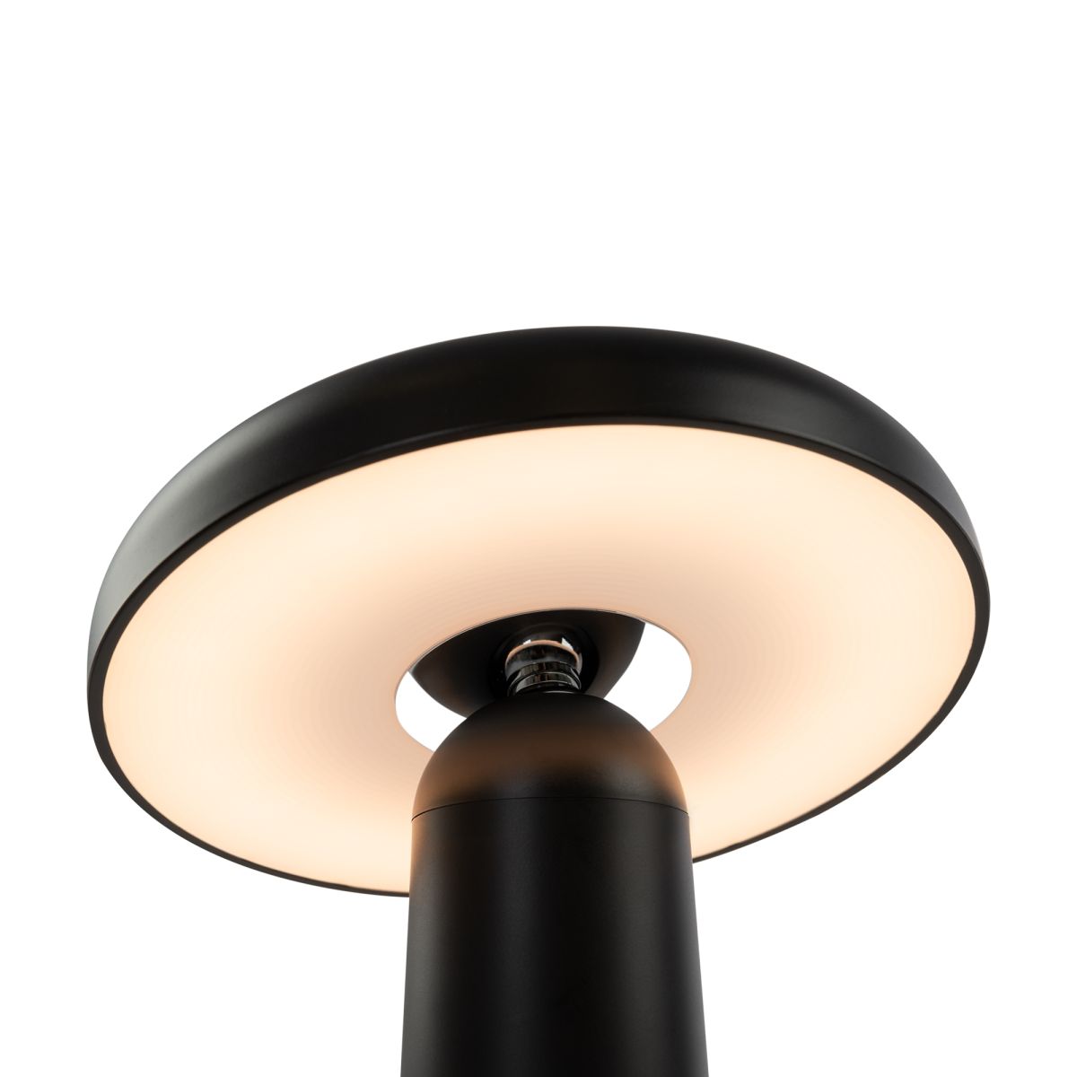 Настольная аккумуляторная лампа Freya Mushroom FR6109TL-L4B в Санкт-Петербурге