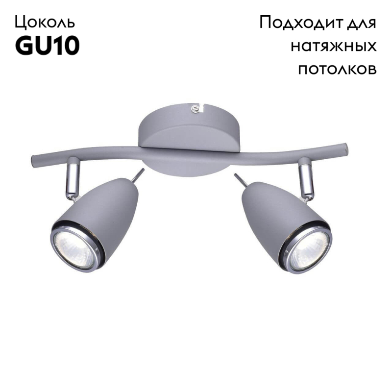 Спот Arte Lamp Regista A1966AP-2GY в #REGION_NAME_DECLINE_PP#