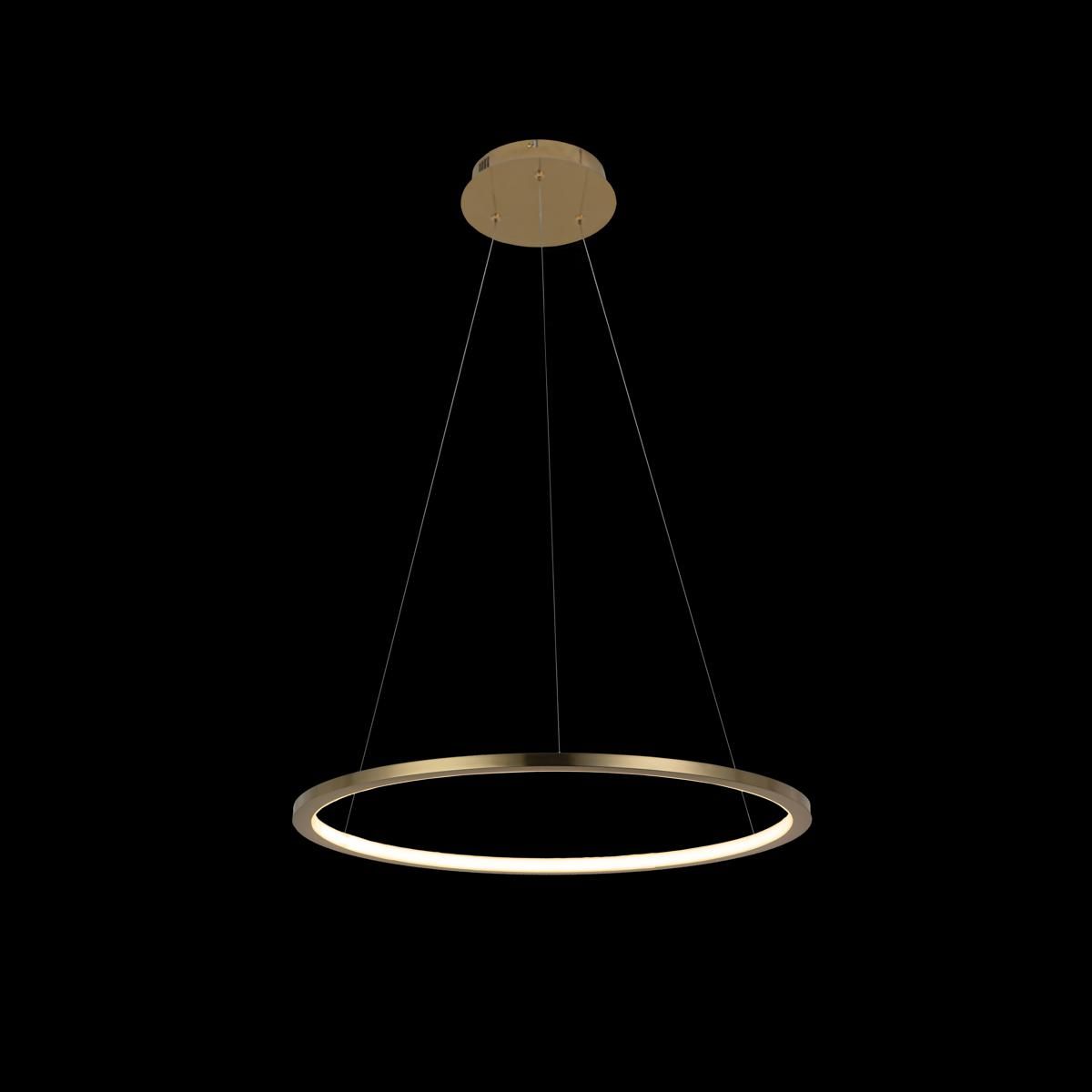 Подвесной светодиодный светильник Loft IT Ring 10014M УЦ в Санкт-Петербурге