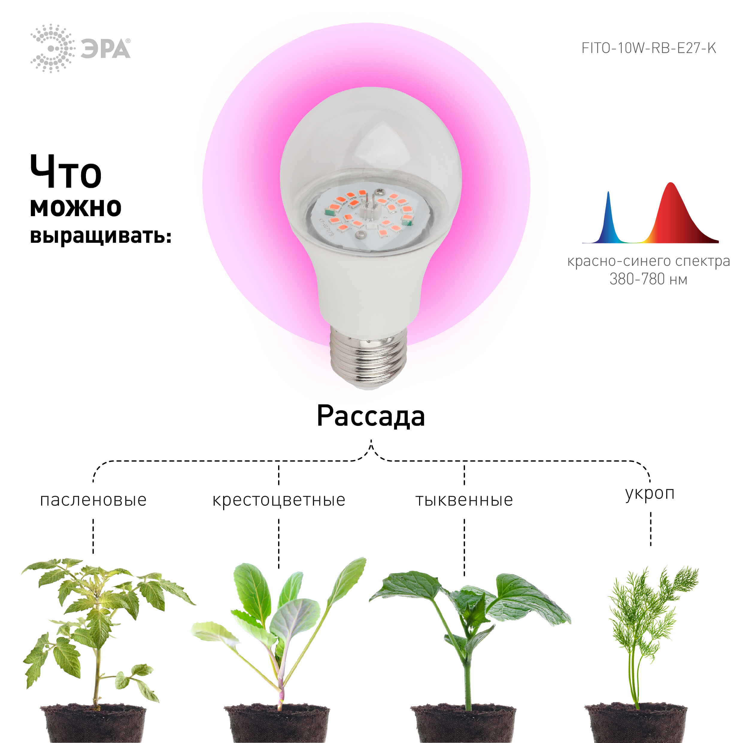 Фитолампа для растений светодиодная ЭРА E27 10W 1310K FITO-10W-RB-E27-K Б0039069 в #REGION_NAME_DECLINE_PP#