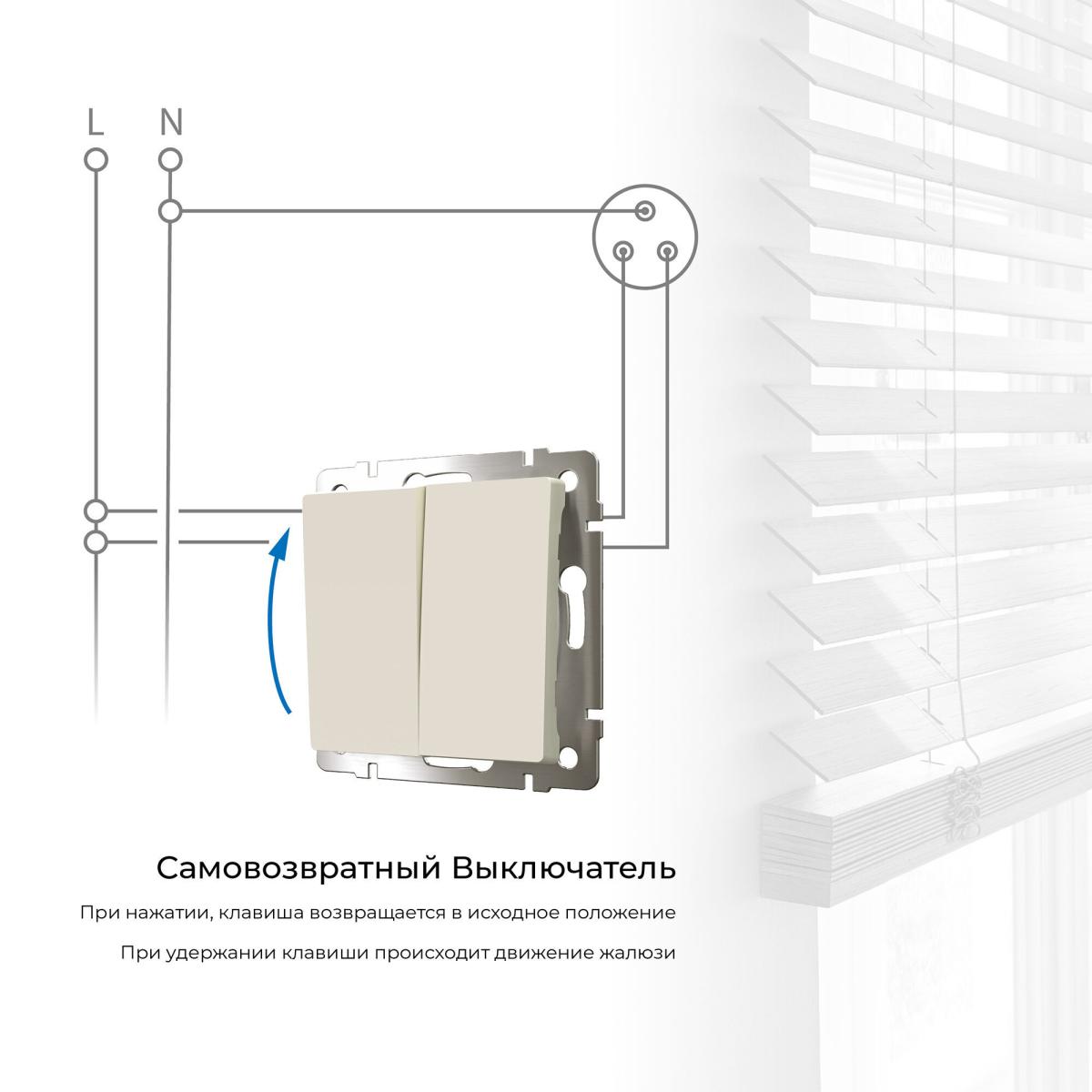 Выключатель двухклавишный с самовозвратом Werkel 4690389192326 W1122403 a062573 в Санкт-Петербурге