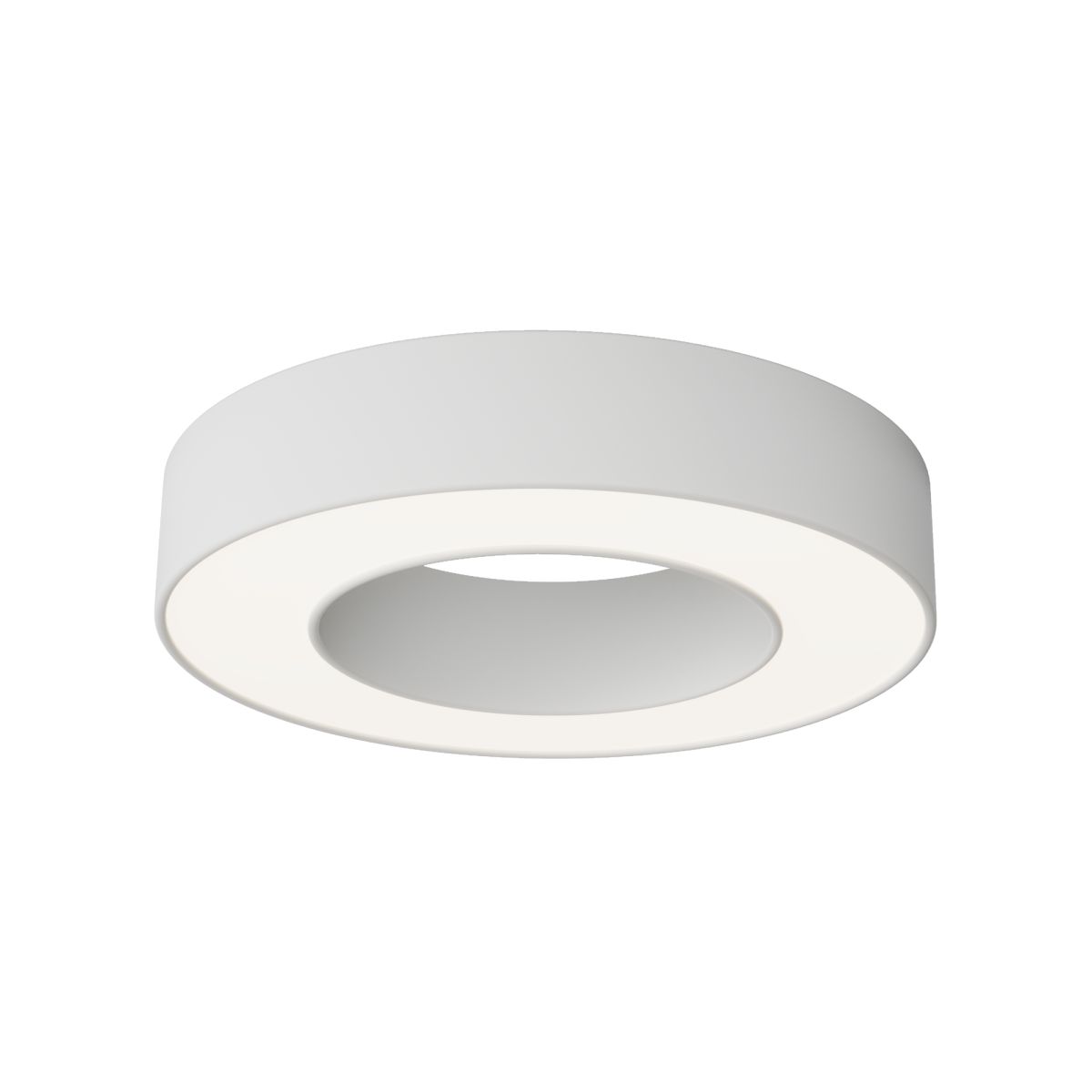 Потолочный светильник Maytoni Technical Lua C093CL-24W4K-W в Санкт-Петербурге