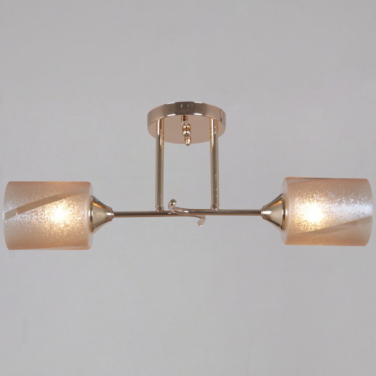 Потолочный светильник на натяжной потолок Reluce 51460-0.3-02 FG в Санкт-Петербурге