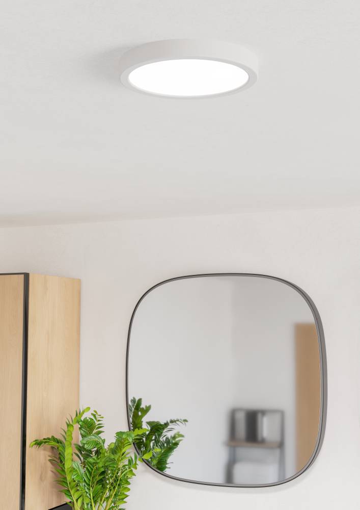 Настенно-потолочный светильник Eglo Fueva 6 901333 в Санкт-Петербурге