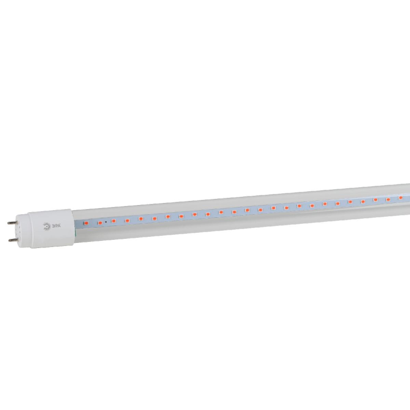 Фитолампа для растений Эра FITO-18W-RB-Т8-G13-NL Б0042990 в Санкт-Петербурге