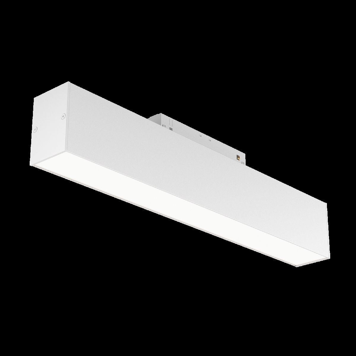 Трековый светильник Maytoni Technical BASIS TR012-2-12W4K-W в Санкт-Петербурге