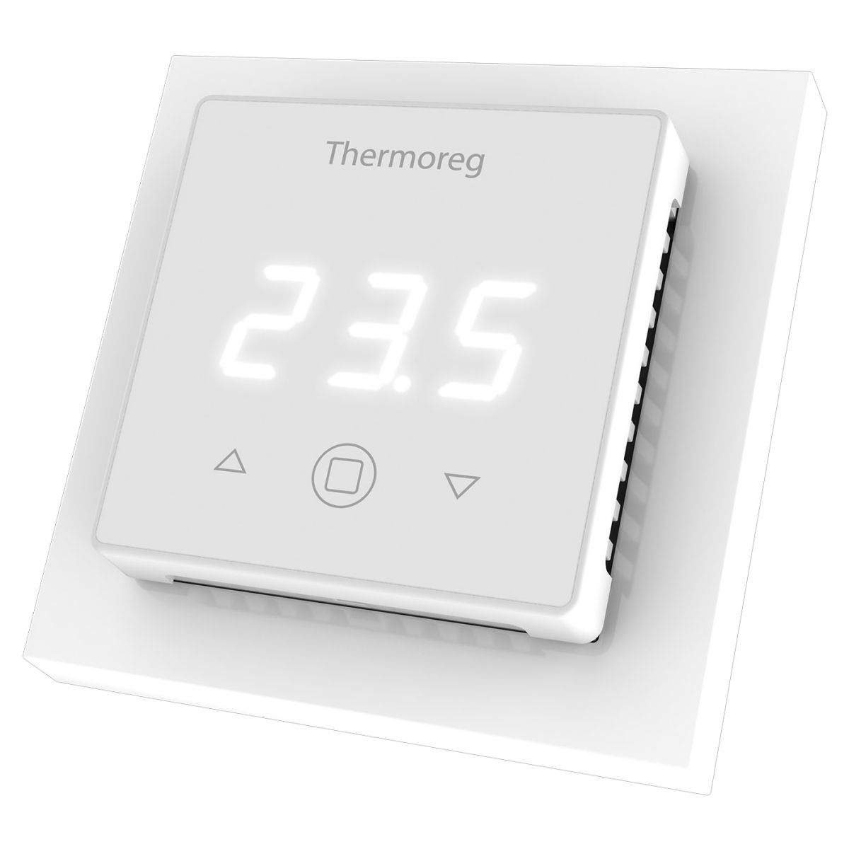 Терморегулятор Thermoreg TI-300 в Санкт-Петербурге