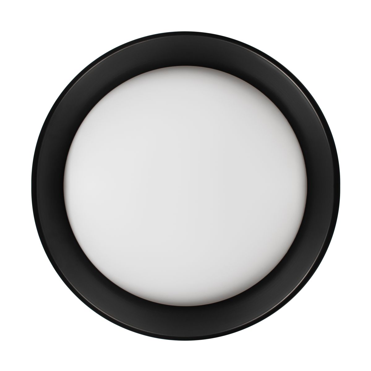 Потолочный светильник Loft IT Coin 10202 BB в Санкт-Петербурге