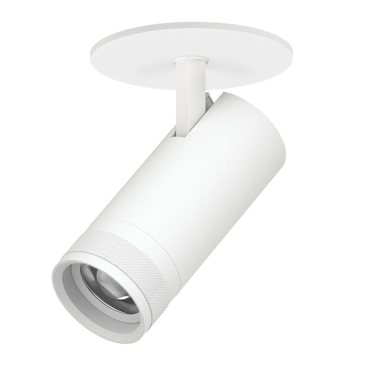 Встраиваемый светильник 20-55G с адаптером Lightstar Canno Pro C4206RS в Санкт-Петербурге