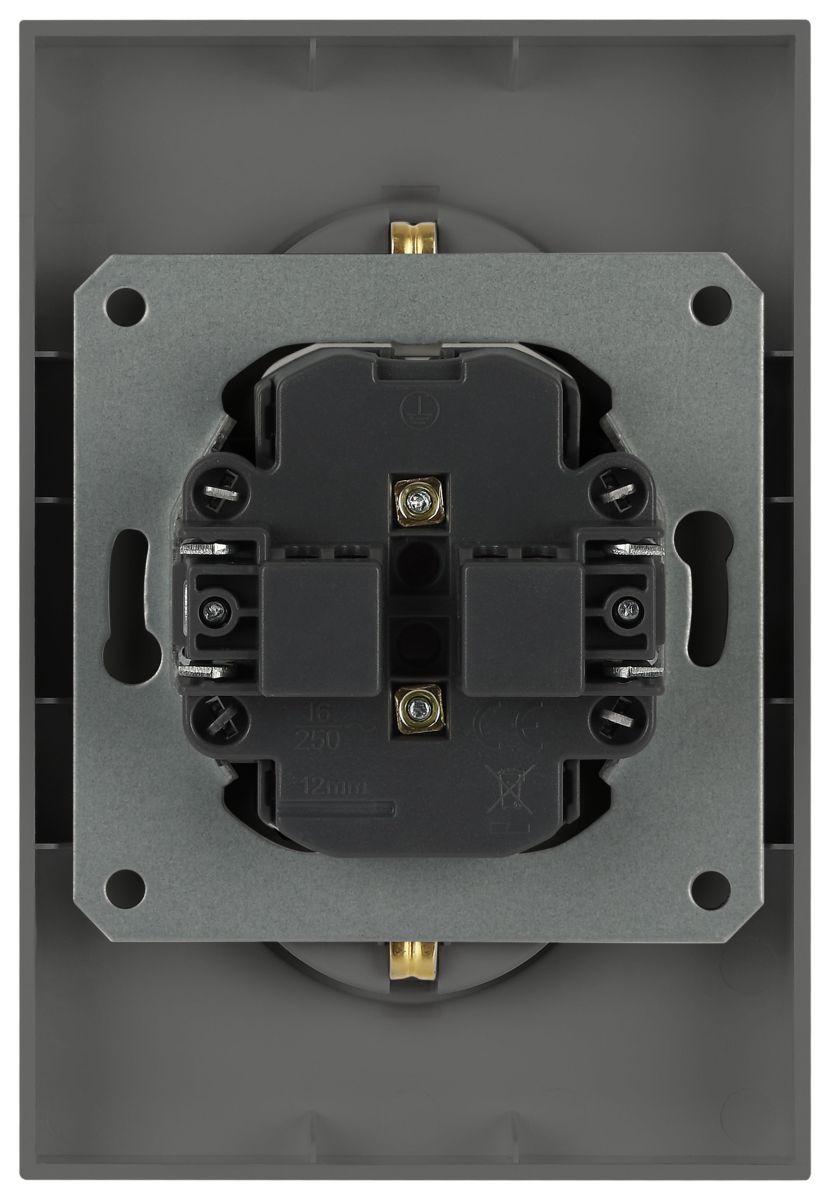 Розетка Эра Arktik 16-2107-06 без заземления двойная 2X2P 16А-250В графит Б0071686 в #REGION_NAME_DECLINE_PP#