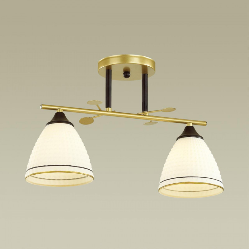 Потолочная люстра Lumion Becky 4544/2C в Санкт-Петербурге