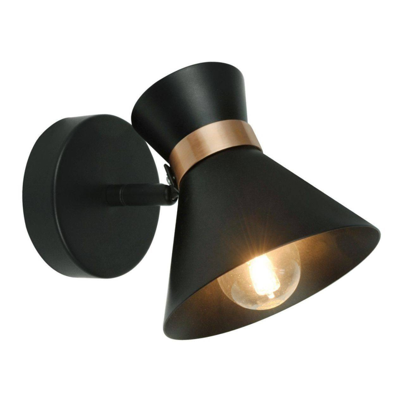 Спот Arte Lamp Baltimore A1406AP-1BK в Санкт-Петербурге