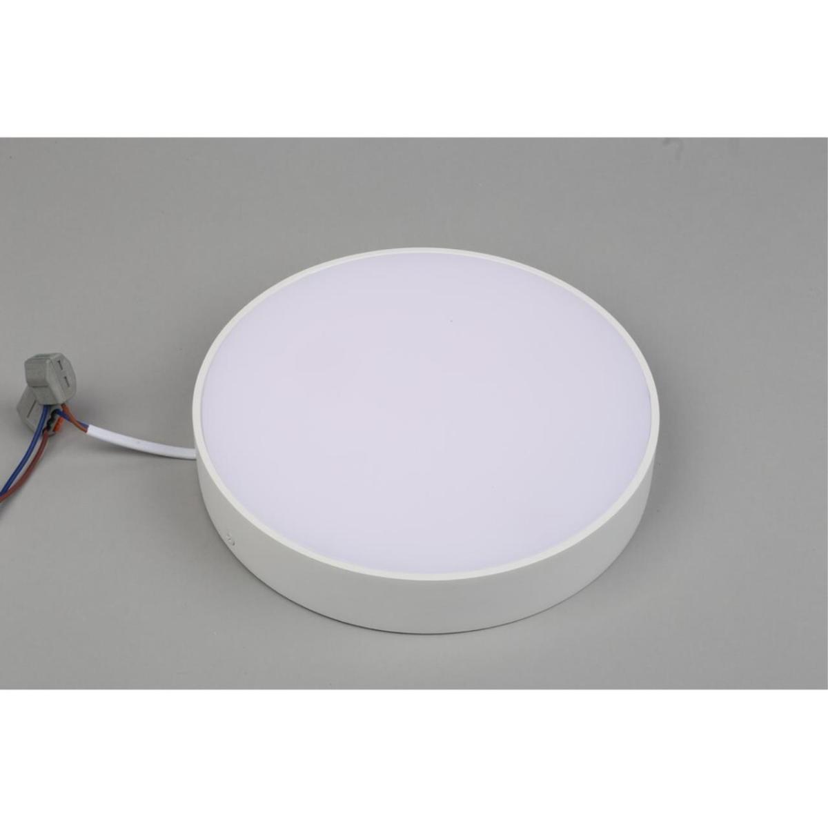 Потолочный светильник Aployt Evon APL.0113.09.24 в Санкт-Петербурге