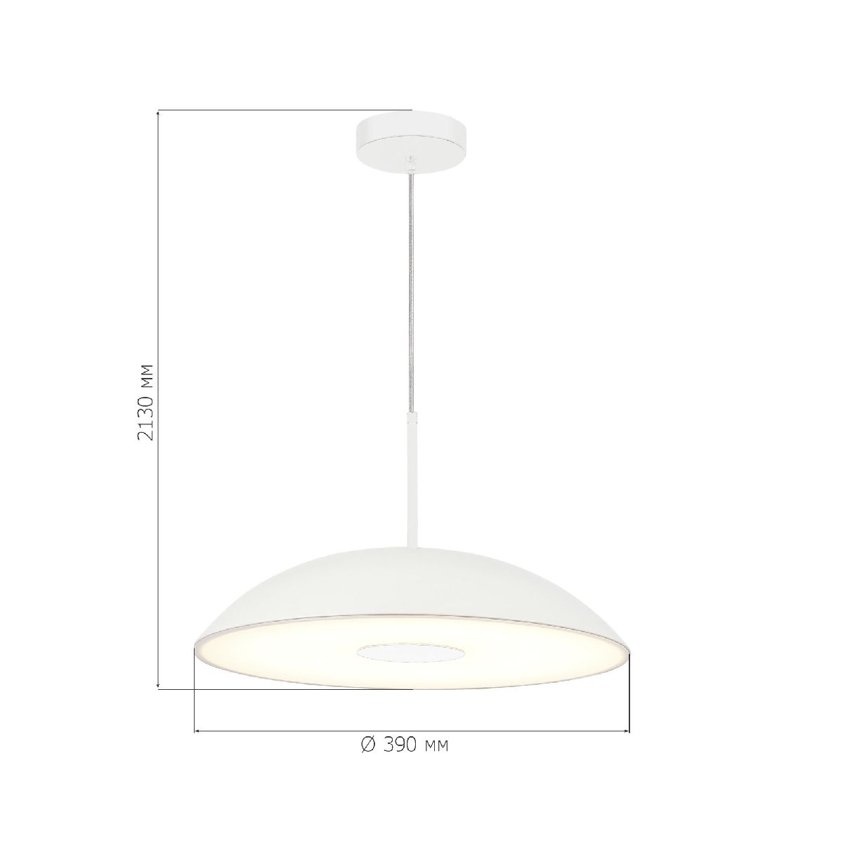 Подвесной светильник ST Luce Lid SL6128.503.01 в Санкт-Петербурге