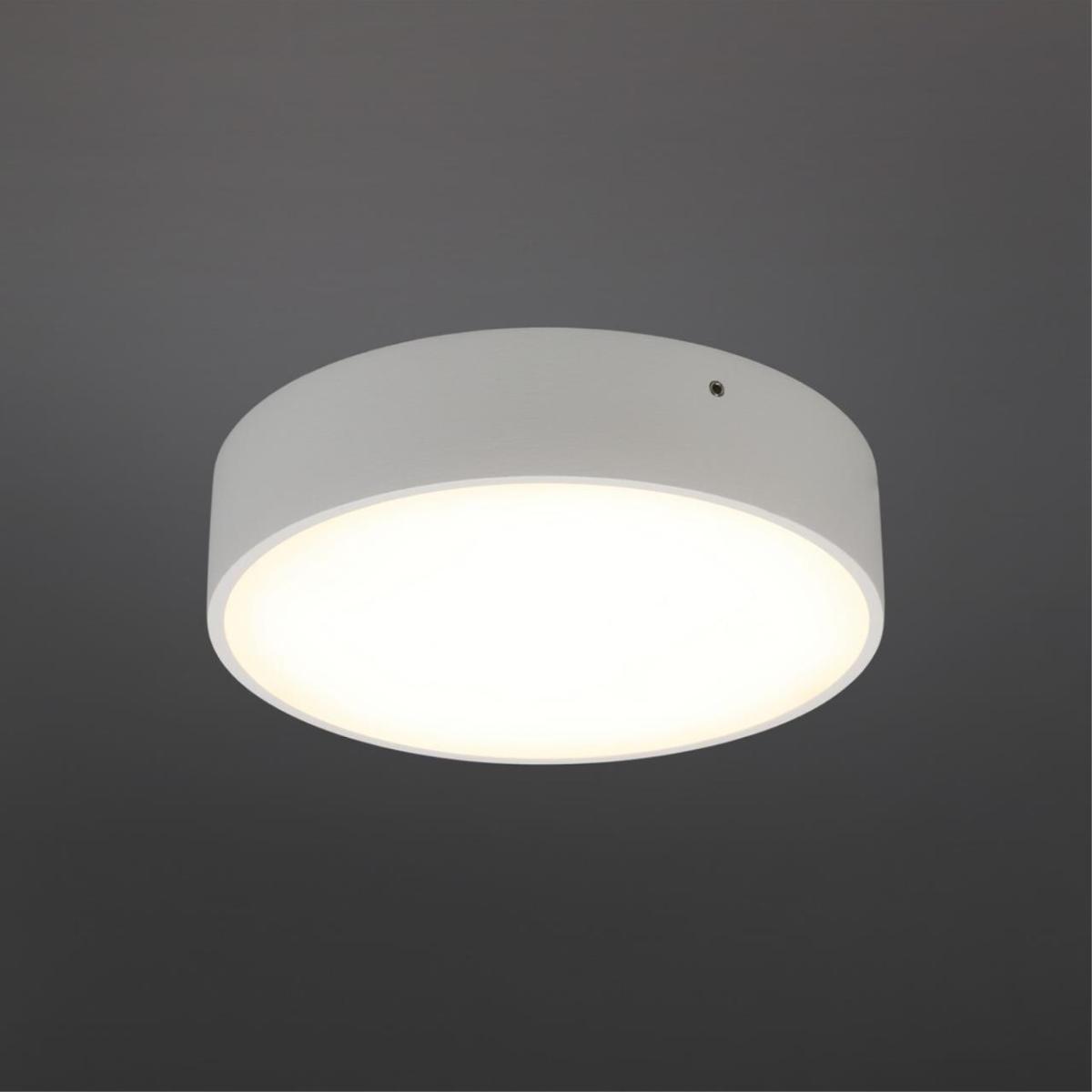 Потолочный светильник Aployt Evon APL.0113.09.18 в Санкт-Петербурге