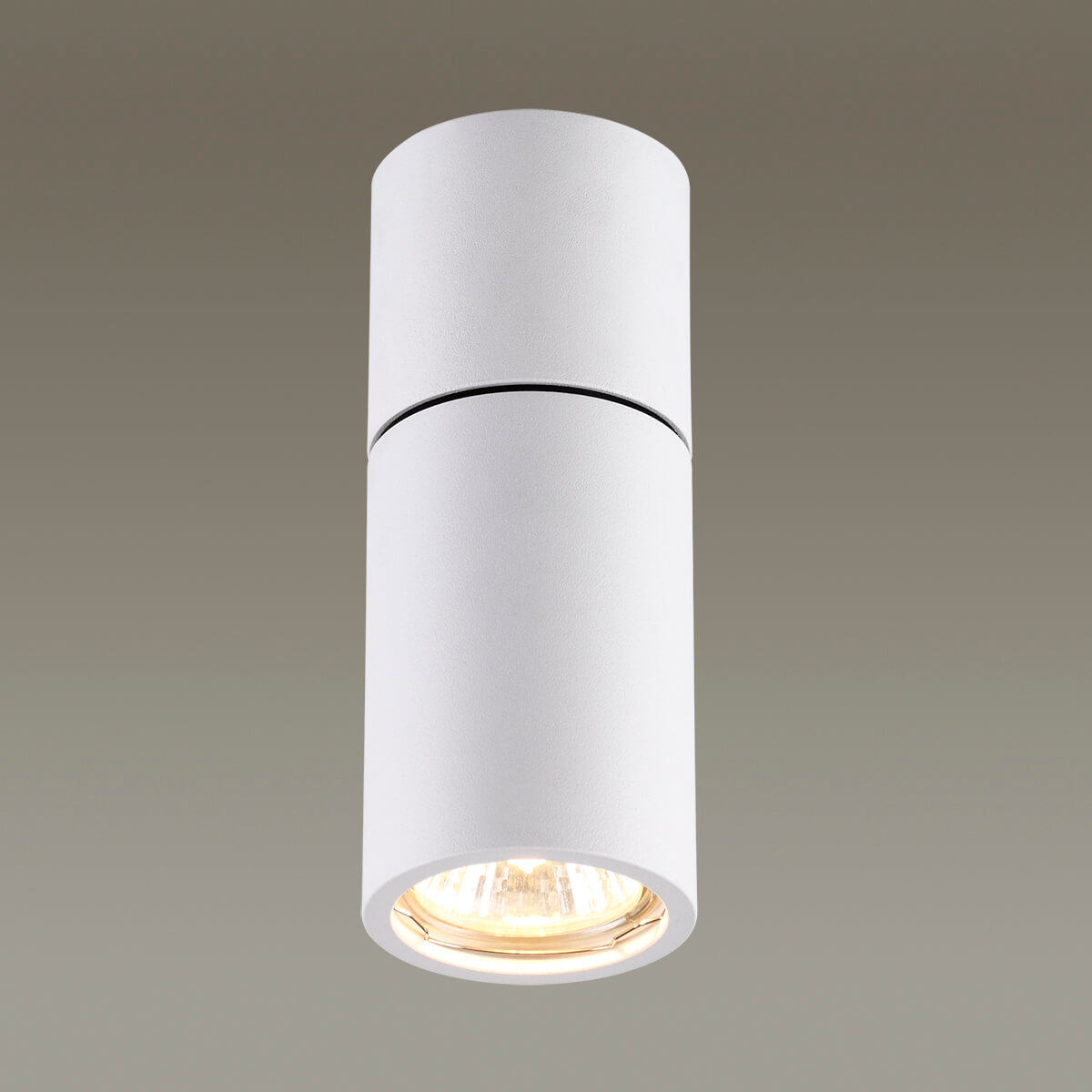 Потолочный светильник Odeon Light Duetta 3582/1C в Санкт-Петербурге