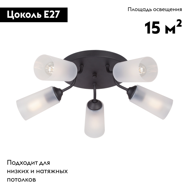 Потолочная люстра Vitaluce V3762-1/5PL в Санкт-Петербурге