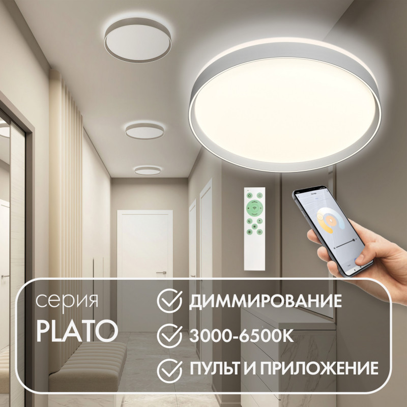 Потолочный светильник Denkirs Plato DK6511-WH в #REGION_NAME_DECLINE_PP#