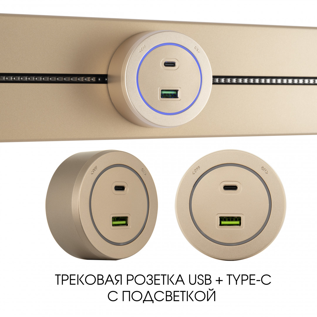 Трековая розетка Arte Milano Am-track-sockets-39 399731TS/USB-Type-C Gold в Санкт-Петербурге