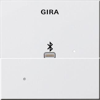 Лицевая панель Apple Lightning Gira System 55 для вставки док-станции чисто-белый глянцевый 228703 в Санкт-Петербурге