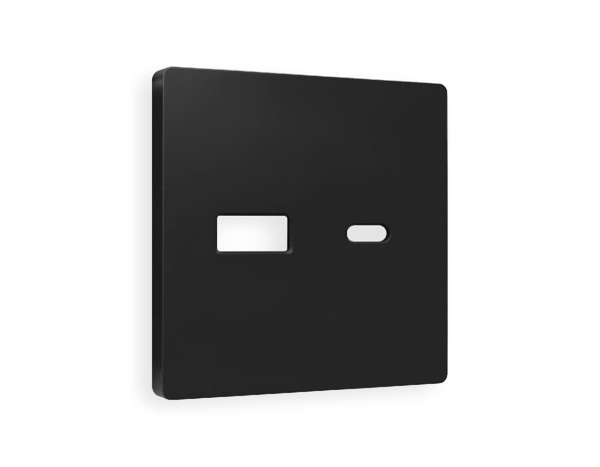 Лицевая панель для розетки 2USB тип A+C Ambrella Volt Alfa AP8110 в Санкт-Петербурге