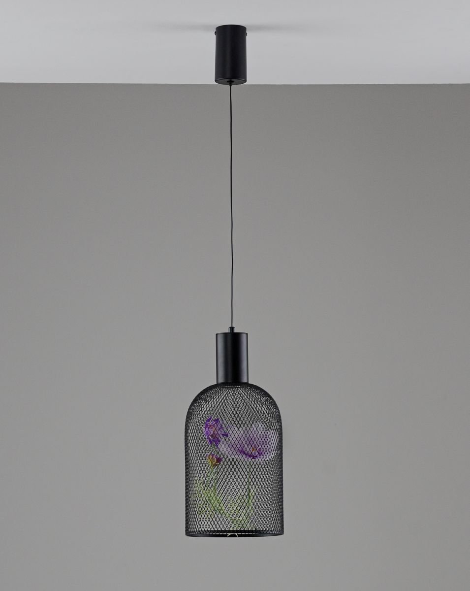 Подвесной светильник Moderli Ophelia V11874-PL в #REGION_NAME_DECLINE_PP#