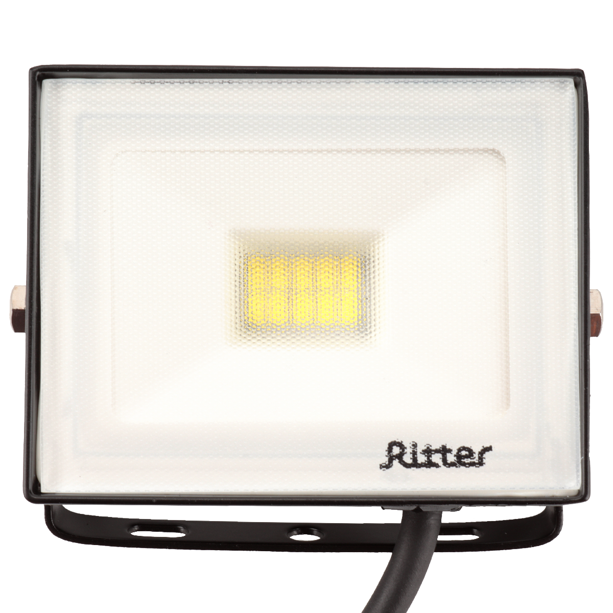 Прожектор Ritter Profi 53406 2 в #REGION_NAME_DECLINE_PP#