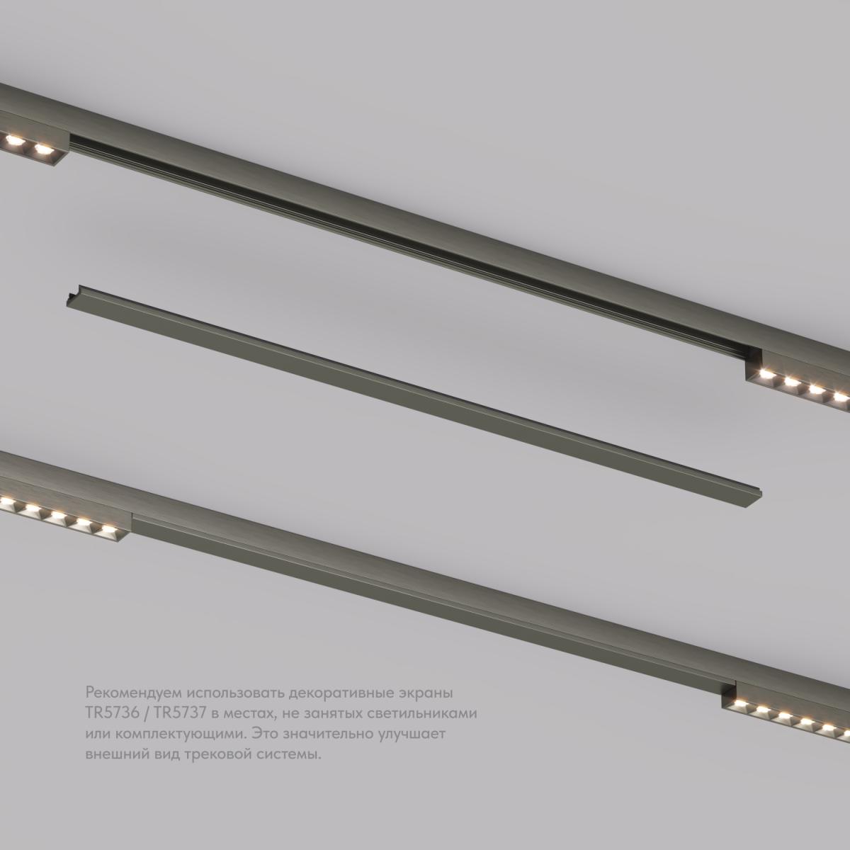 Декоративная заглушка желоба трека Denkirs Shine Base TR5737-DN в #REGION_NAME_DECLINE_PP#