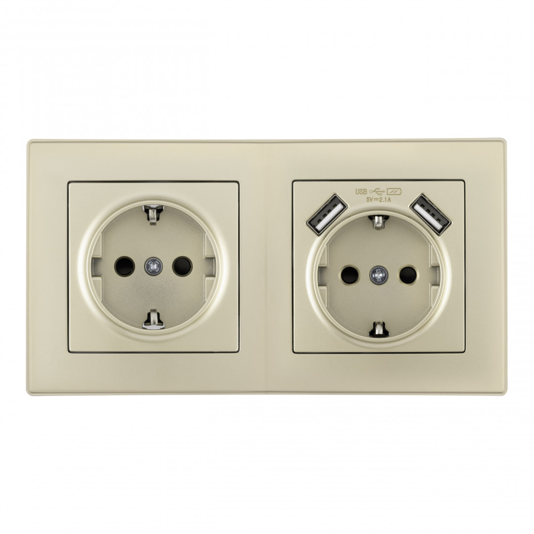 Розетка двойная (двухпостовая) с USB Arte Milano SET06-2-47-1-40-1 shampan в Санкт-Петербурге