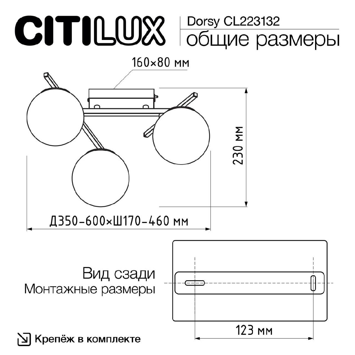 Настенно-потолочный светильник Citilux Dorsy CL223132 в Санкт-Петербурге