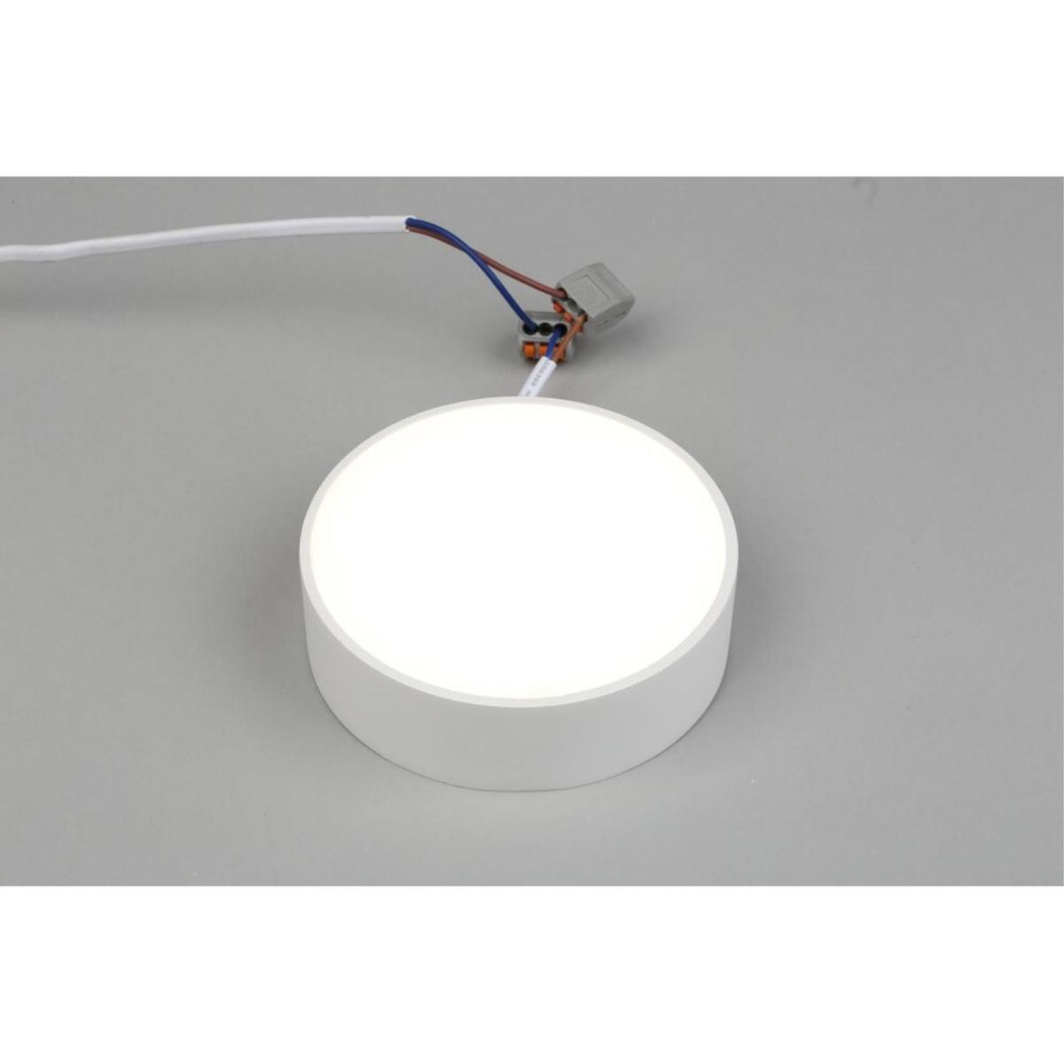 Потолочный светильник Aployt Evon APL.0114.09.12 в Санкт-Петербурге