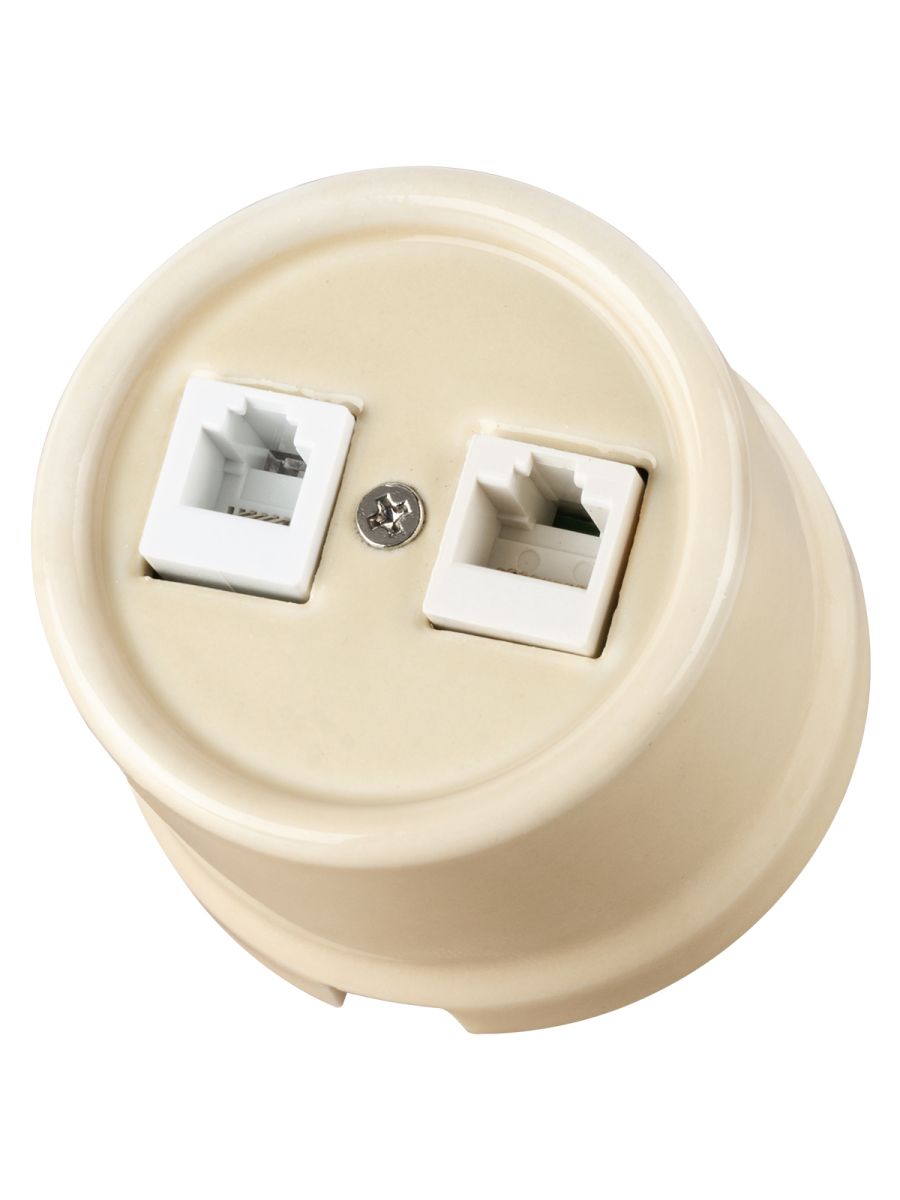 Розетка телефонная RJ11 + компьютерная RJ45 сл. кость Болонь TDM Electric SQ1820-0352 в #REGION_NAME_DECLINE_PP#