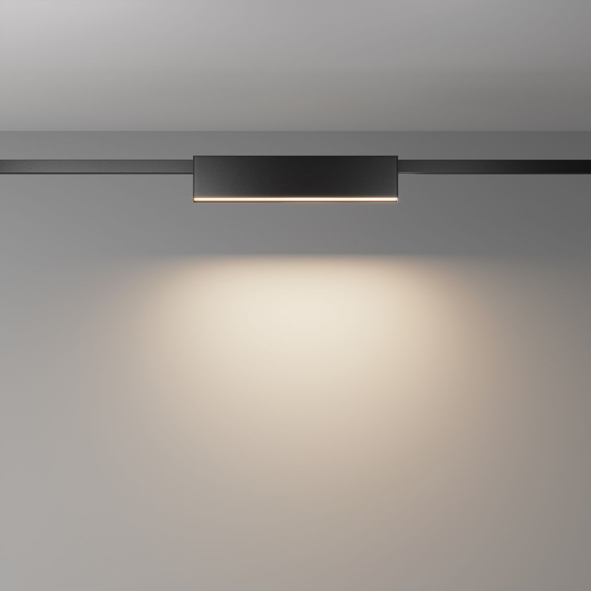 Трековый магнитный светильник Maytoni Basis TR151-1-18W3K-B в Санкт-Петербурге