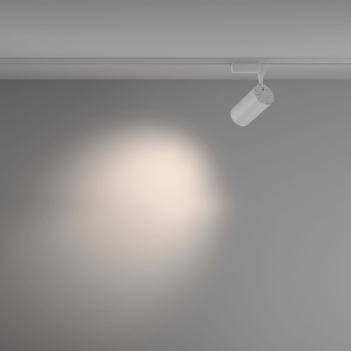 Трековый светильник Maytoni Technical Vuoro TR003-1-36W4K-M-W в #REGION_NAME_DECLINE_PP#