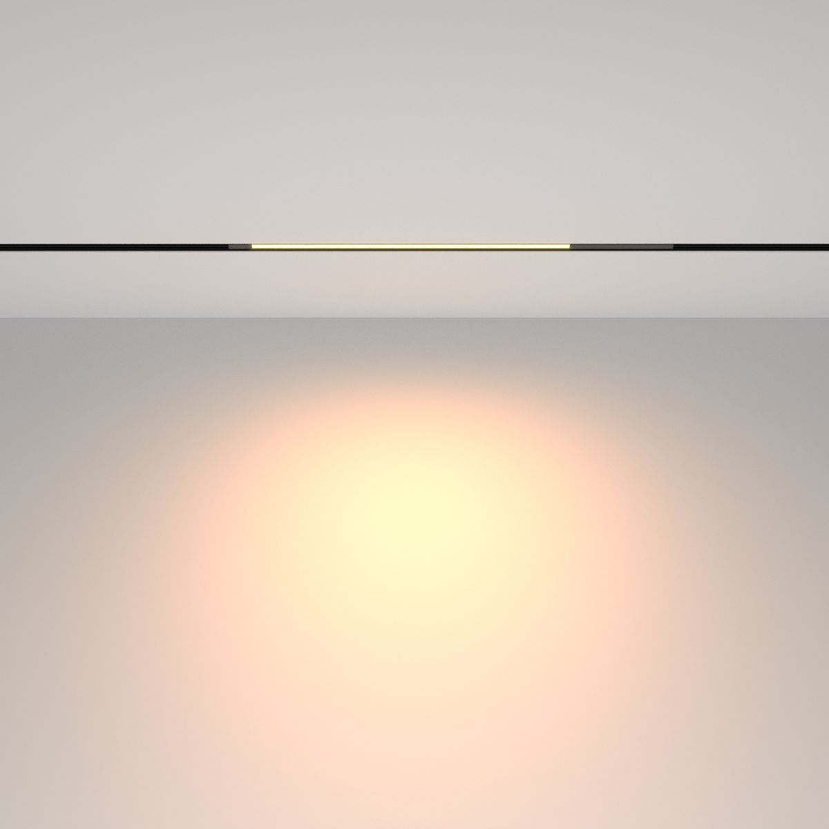 Трековый магнитный светильник Maytoni Technical Basis TR231-2-10W3K-B в Санкт-Петербурге