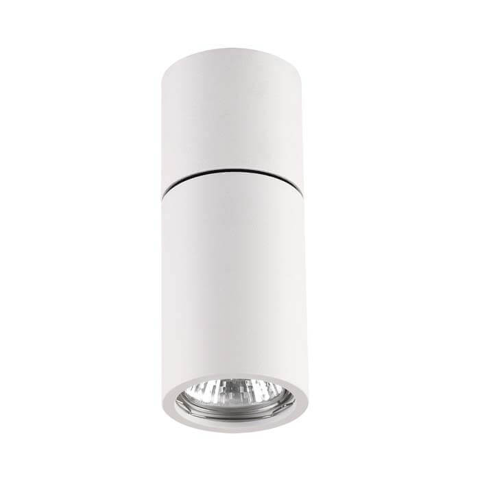 Потолочный светильник Odeon Light Duetta 3582/1C в Санкт-Петербурге