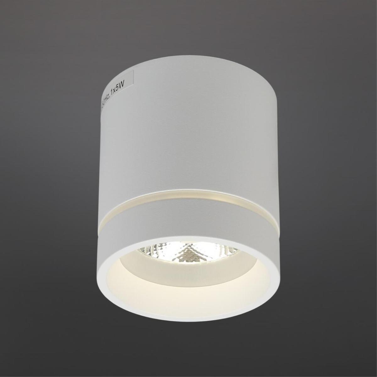 Потолочный светильник Aployt Gita APL.0044.09.05 в #REGION_NAME_DECLINE_PP#