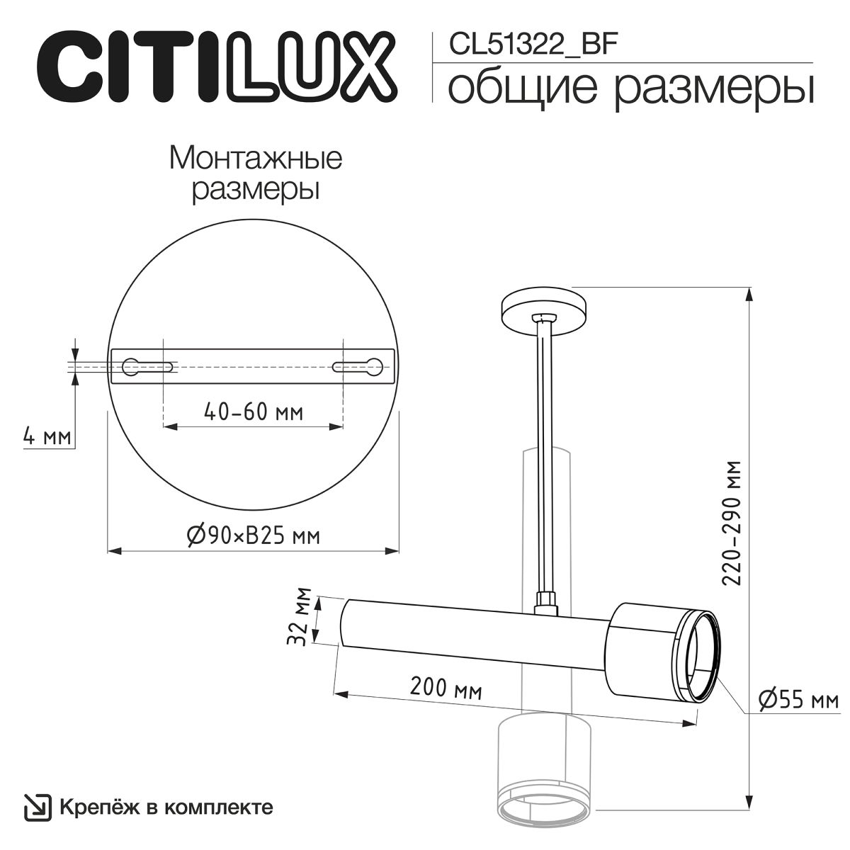 Спот Citilux Vektor CL51322_BF в Санкт-Петербурге