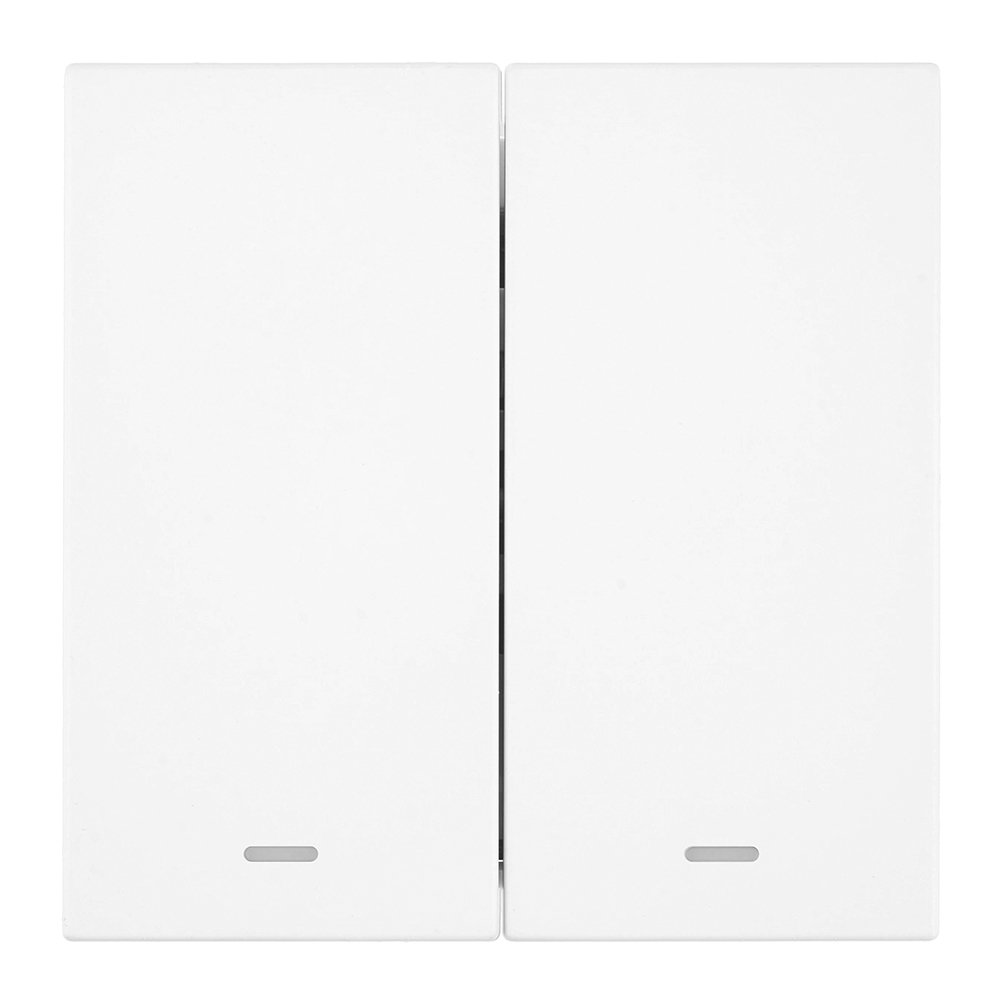 Выключатель 2-клавишный c индикатором (механизм) Stekker Мия 250В 10А RSW10-3102-01 белая магнолия 50432 в Санкт-Петербурге