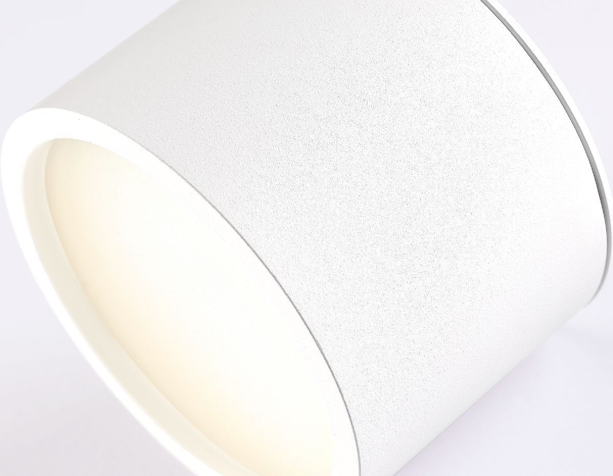 Накладной светильник Ambrella Light IP Protect TN6550 в Санкт-Петербурге