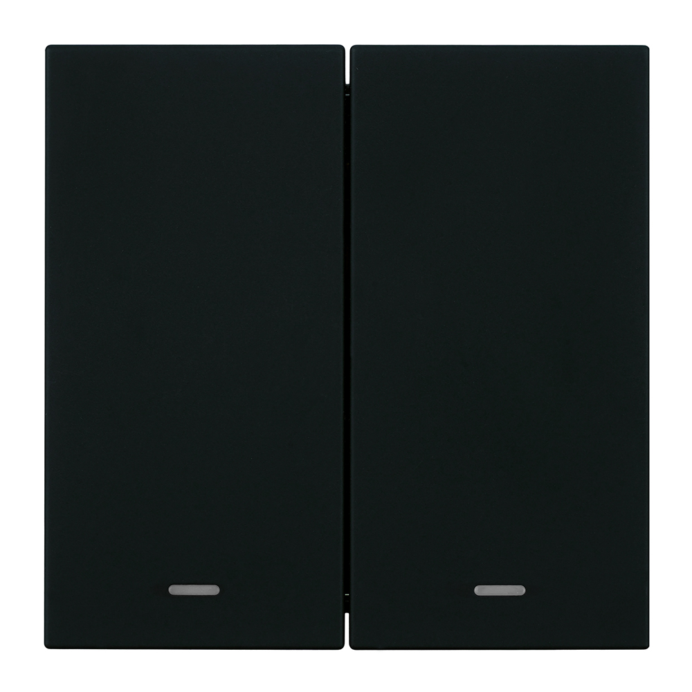 Выключатель 2-клавишный c индикатором (механизм) Stekker Мия 250В 10А RSW10-3102-05 черный бархат 50446 в Санкт-Петербурге