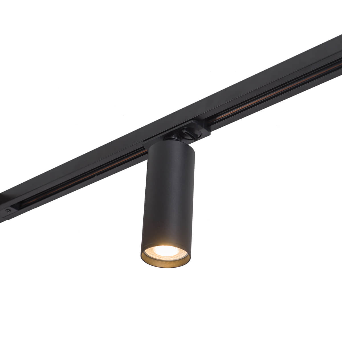 Светильник на шине Denkirs DK6202-BK в Санкт-Петербурге