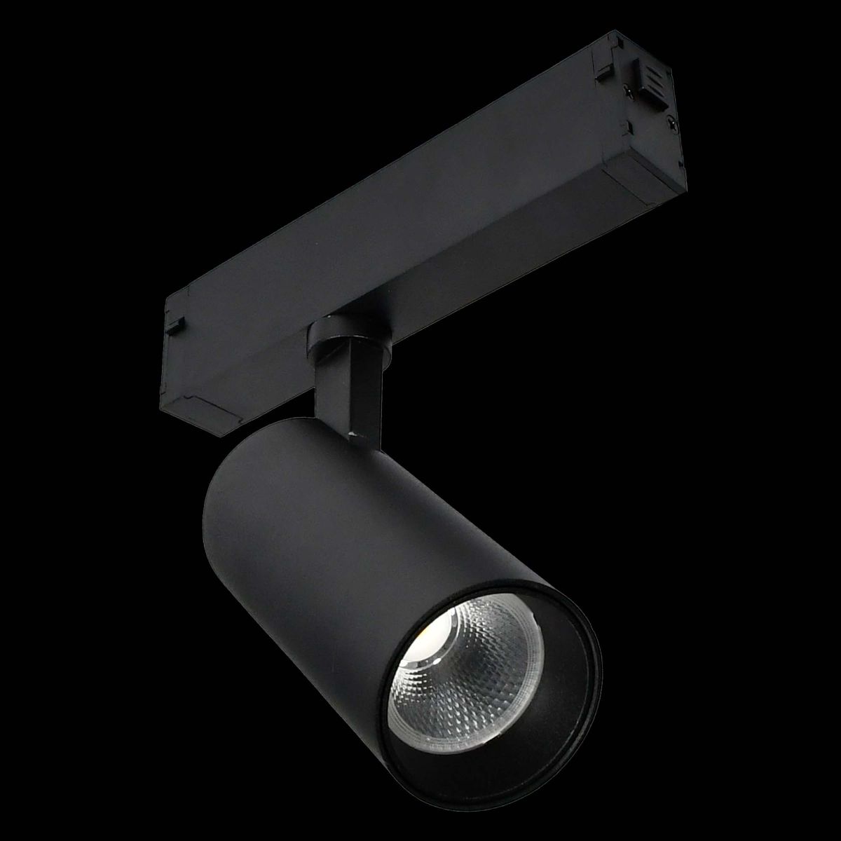 Трековый светильник ST Luce Skyline 220 ST660.496.10H в Санкт-Петербурге