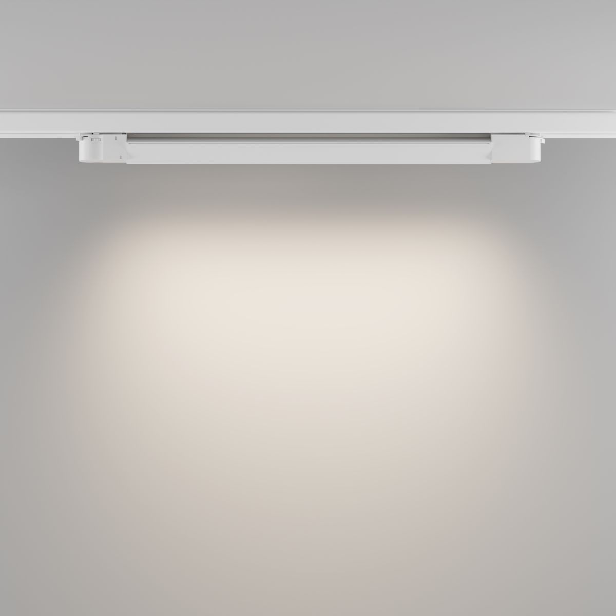Трековый трехфазный светильник Maytoni Technical Basis TR196-3-20W4K-W(N) в Санкт-Петербурге