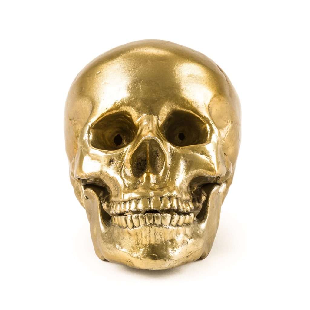 Статуэтка Human Skull Seletti Wunderkammer 10891 в Санкт-Петербурге