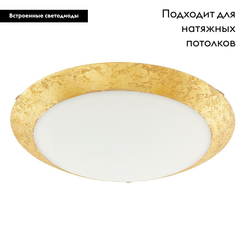 Настенно-потолочный светодиодный светильник Eglo Montenovo 98023 в Санкт-Петербурге