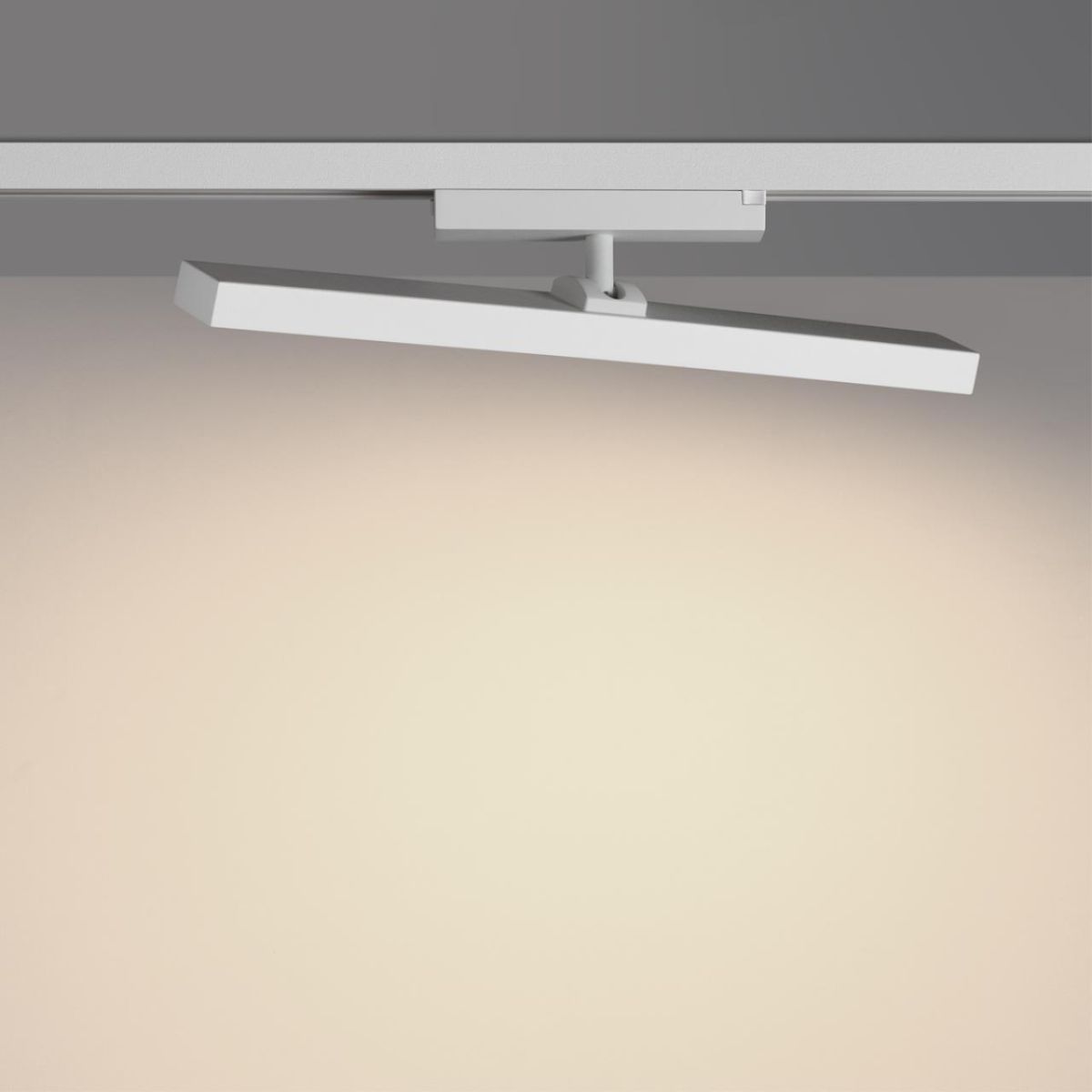 Трековый однофазный светильник с переключателем цв. температуры Novotech Port Stratus 359782 в Санкт-Петербурге