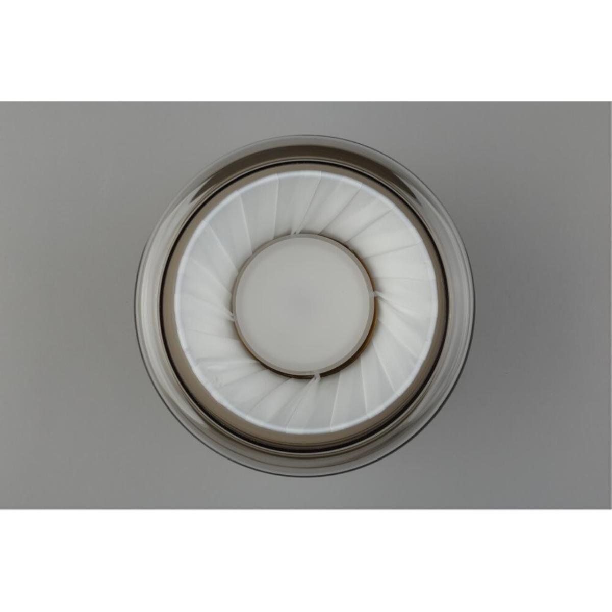 Потолочный светильник стеклянный Aployt Zhyuli APL.089.07.08 в Санкт-Петербурге